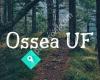 Ossea UF