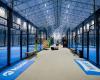Padel Royale
