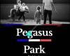 Pegasus Park Ridskola