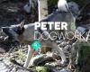 Peter & Dogworks