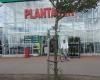 Plantagen
