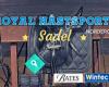 Royal Hästsport Sadel