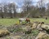 Såganäs friluftsområde