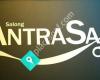 Salong Antrasax