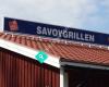 Savoygrillen