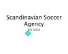 Scandinavian Soccer Agency AB