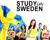 Serotonin  تحصیل در سوئد