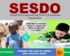 SESDO Organization