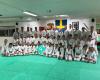 Shotokan Karateklubb Helsingborg Sweden