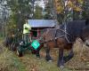 Söderströms Häst och Natur