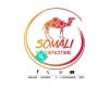 Somali Kulturfestival