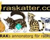 Sverak - Sveriges Kattklubbars Riksförbund