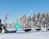 Sweden Husky Tours