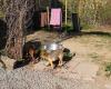 Swespeed K9 Kennel