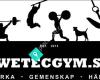 Swetec Functional Gym