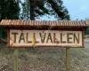 Tallvallen