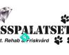 Tasspalatset Rehab