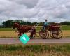 Två hästar och en vagn