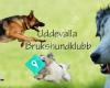 Uddevalla BHKs Agility- & Rallylydnadsgrupp