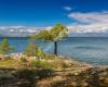 Utö naturreservat