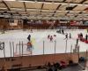 Vallentuna Hockey utbildning