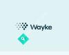 Wayke - den nya marknadsplatsen för bilar