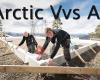 Arctic Vvs As