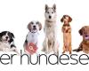 Asker Hundesenter