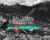 Balgobin Consulting