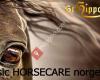 Basic Horsecare