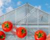 BioFresh Greenhouse