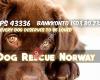 Dog Rescue Norway
