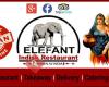 Elefant indisk restaurant