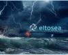 Eltosea