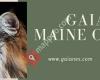 Gaianes Maine Coon Cattery