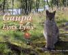 Gaupa - Lynx Lynx