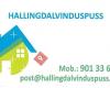 Hallingdalvinduspuss