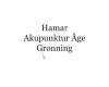 Hamar Akupunktur Åge Grønning
