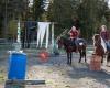 Hestsveen - med hest og natur i fokus