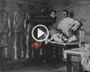 Human experiments  - footages