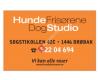 Hundefrisørørene / Dog studio Drøbak
