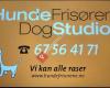 Hundefrisørene Dog Studio Sandvika