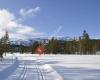 Hyttetomter på Vikerfjell - Elsrudkollen hyttefelt