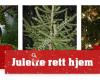 Juletre rett hjem