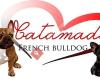 Kennel Catamada - Fransk Bulldog