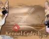 Kennel Cedech