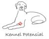 Kennel Potensial