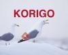 Korigo