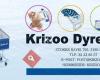 Krizoo Dyresenter