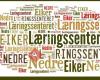 Læringssenteret i Nedre Eiker